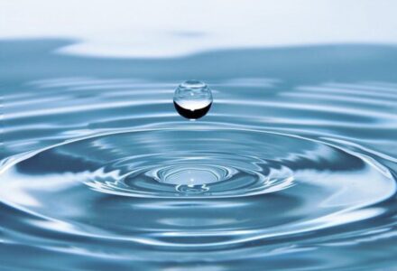 ACQUA: ALLA SCOPERTA DEL MIRACOLO DELLA VITA