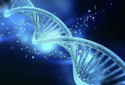 DNA E CODICE GENETICO, ARRIVA L’ALGORITMO BIOLOGICO CHE RIPARA DANNI E DEFAULT DELLE CELLULE