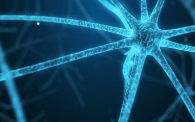 Conoscere il Tuo Microbiota Intestinale!