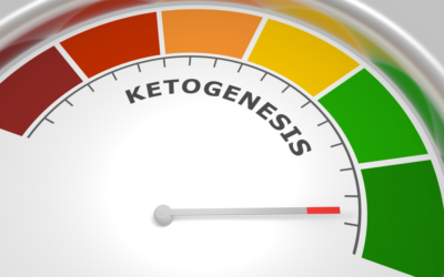 Chetogenesi: un alleato per la salute e la prevenzione