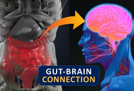 ASSE INTESTINO CERVELLO E SCLEROSI MULTIPLA………PROSPETTIVE SCIENTIFICHE